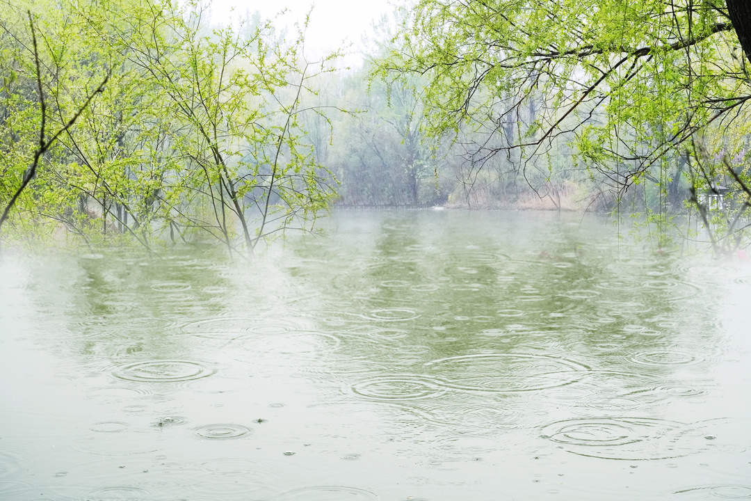 摄图网_501901852_春雨滴在水面引起波纹（企业商用）.jpg