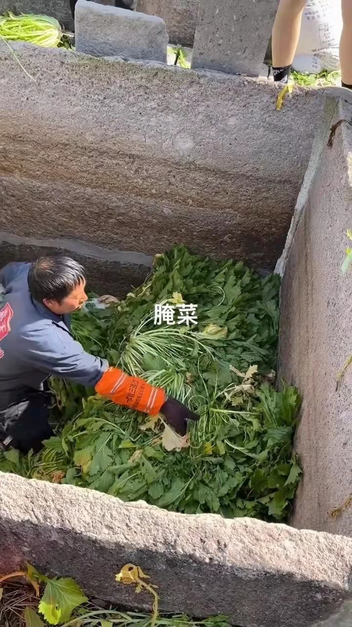 老坛酸菜的土坑酸菜被曝光以后插旗菜业工作人员说目前插旗菜业已经