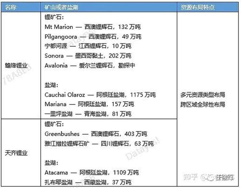 天齐锂业将超越赣锋锂业重回中国锂王王座锂系列之一锂矿资源与龙头