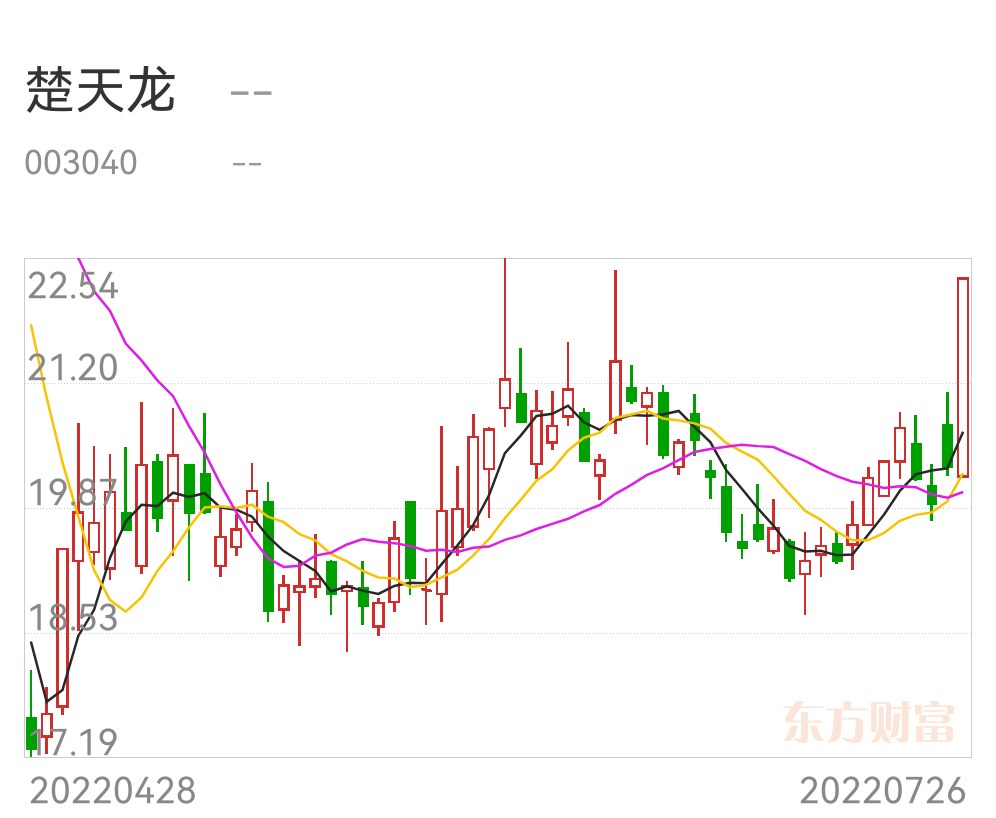 今日关注楚天龙