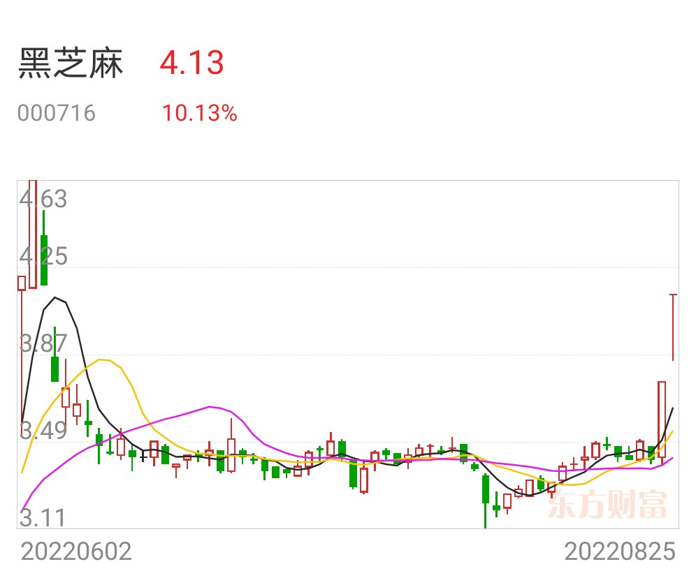 神火股份今天为什么停牌 (神火股份今天最新消息)