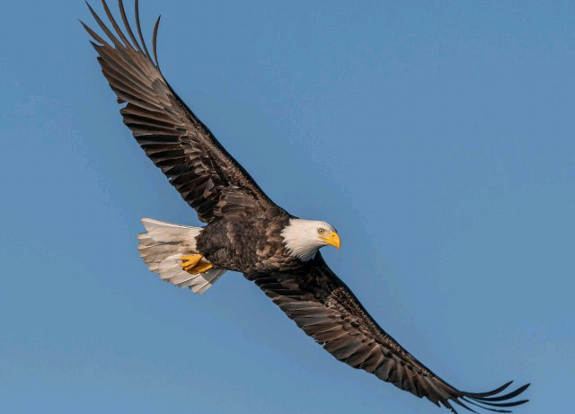 7板:英飞拓。4板:华森制药。3板:华塑控股、世嘉科技。2板:大中矿业、德展健康_财富号_东方财富网