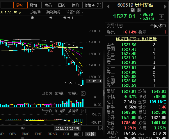 展开1500元保卫战,跟茅哥轮流登顶基金第一大重仓股的宁德资金也是