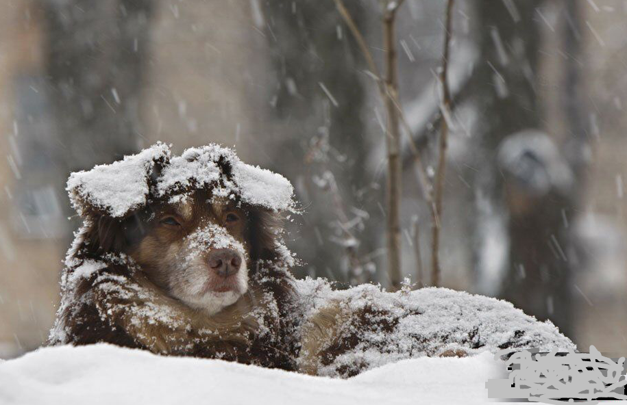 3700第3浪究竟能跌到那？