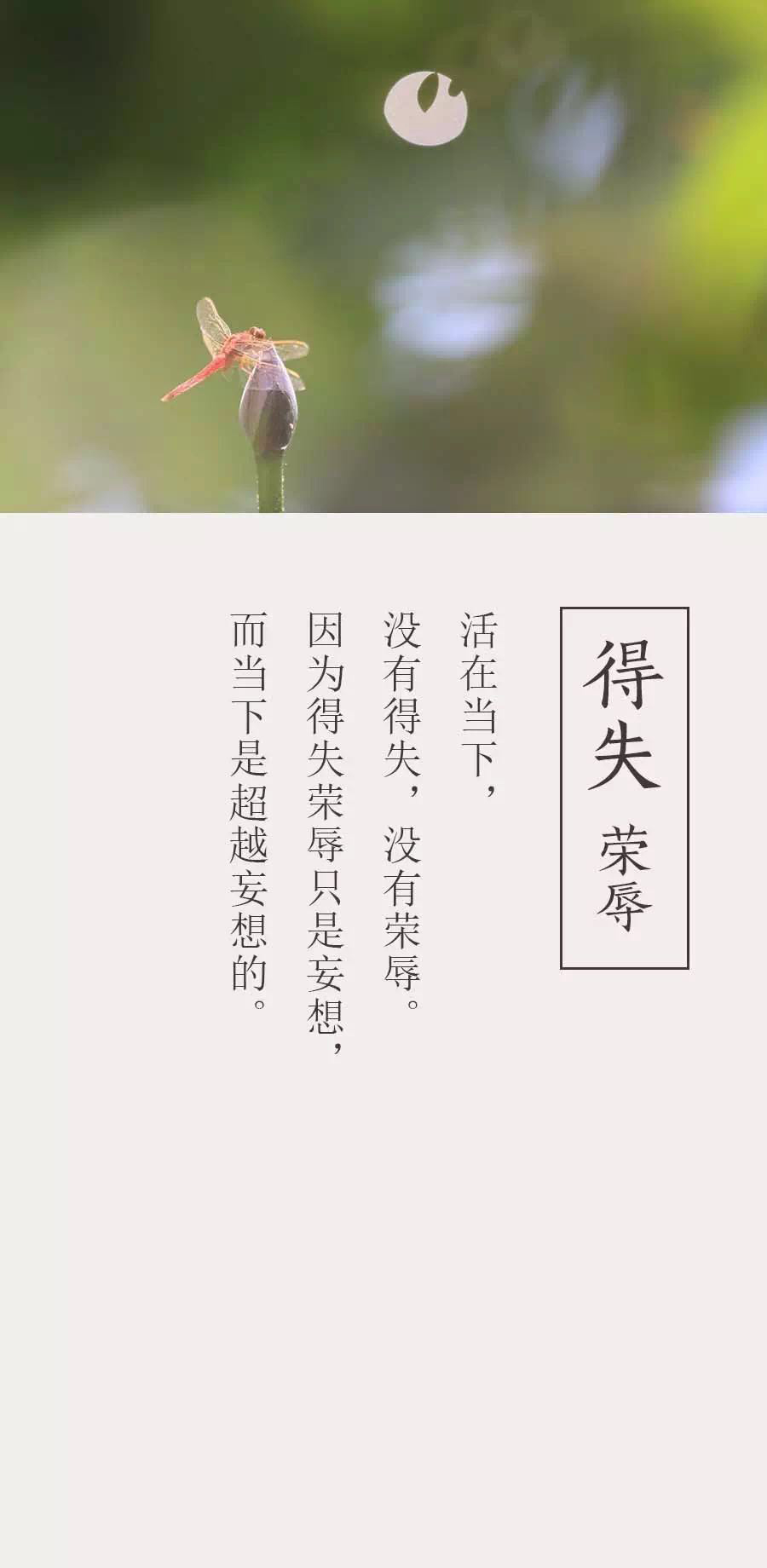 无论何时何地都能获取体育资讯的全方位技巧分享