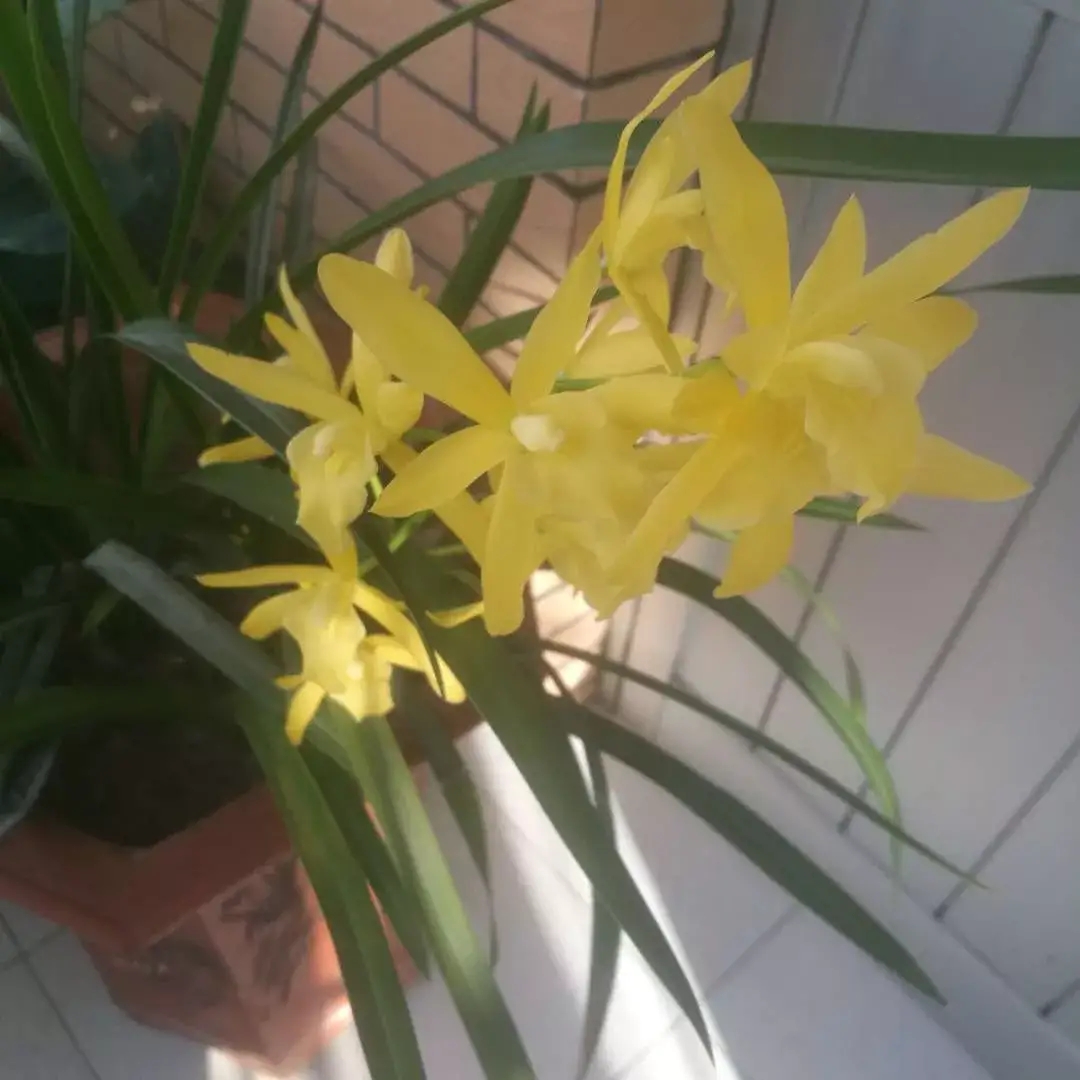 揭秘彩虹易支付追回真相