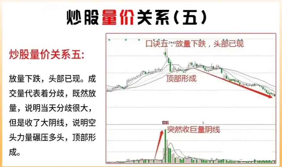 市场行情与价格因素剖析 (市场行情与价格)-虎跃云资讯网
