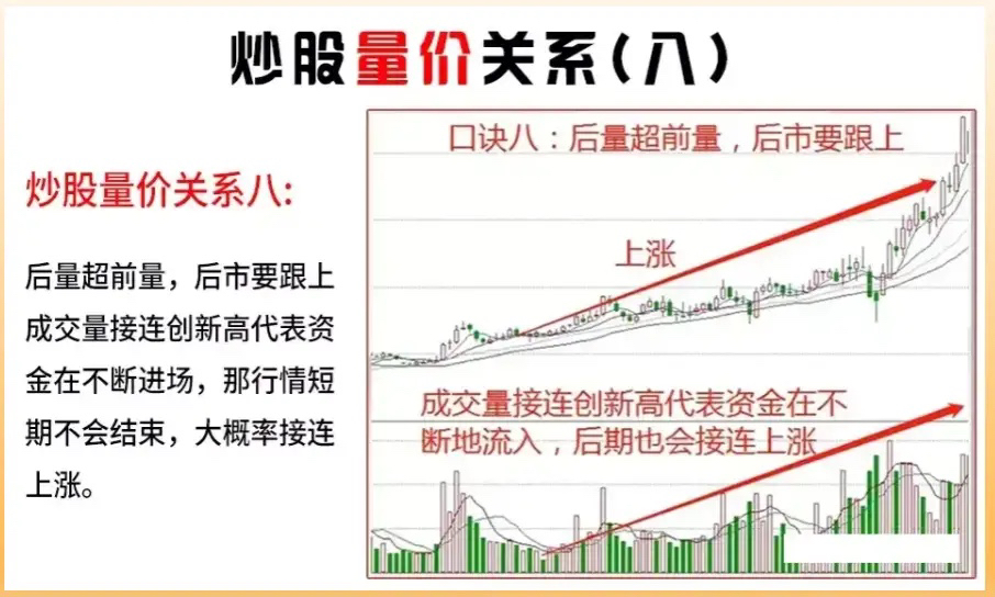 市场行情与价格规律
