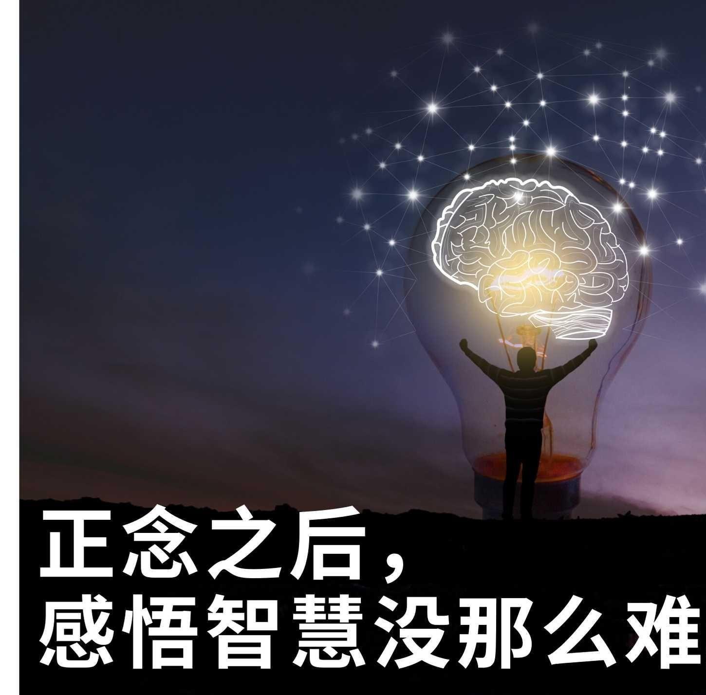 用速度与智慧点燃NBA的每一个回合