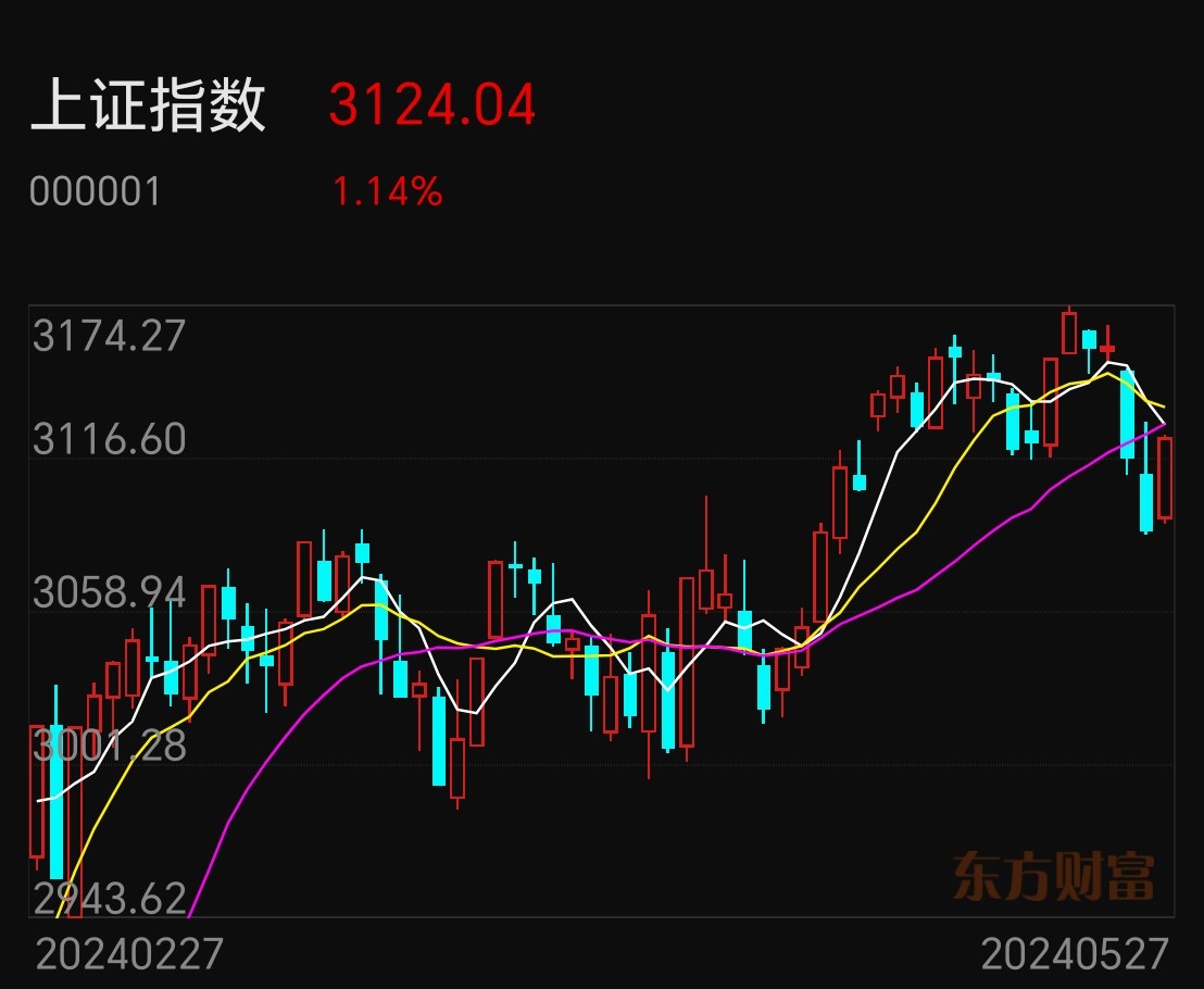 如期反弹,跟不跟?5月28日吃肉机会(储能+微盘臌)_财富号_东方财富网