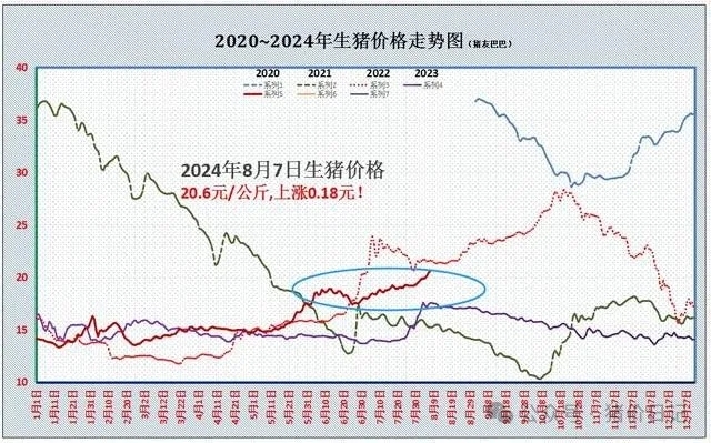 2020年到2024年每个月生猪价格走势图_财富号_东方财富网