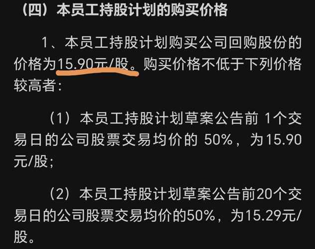 员工可以购买本公司的股票吗