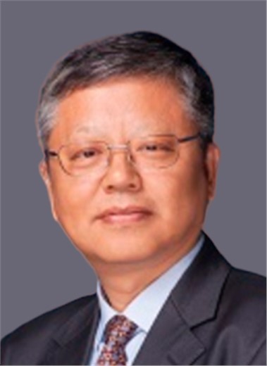 杨振军 博士
