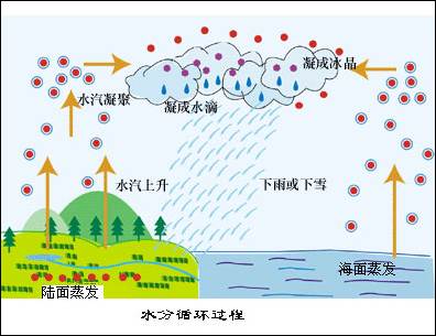 水循环示意图水电站水坝在破坏这种水循环