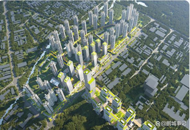 金光华深圳旧改项目进度惊人,你想知道吗?_财富号_东方财富网