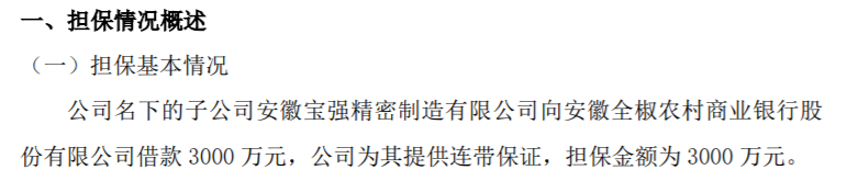 宝强精密名下的子公司向银行借款3000万公司为其提供连带保证