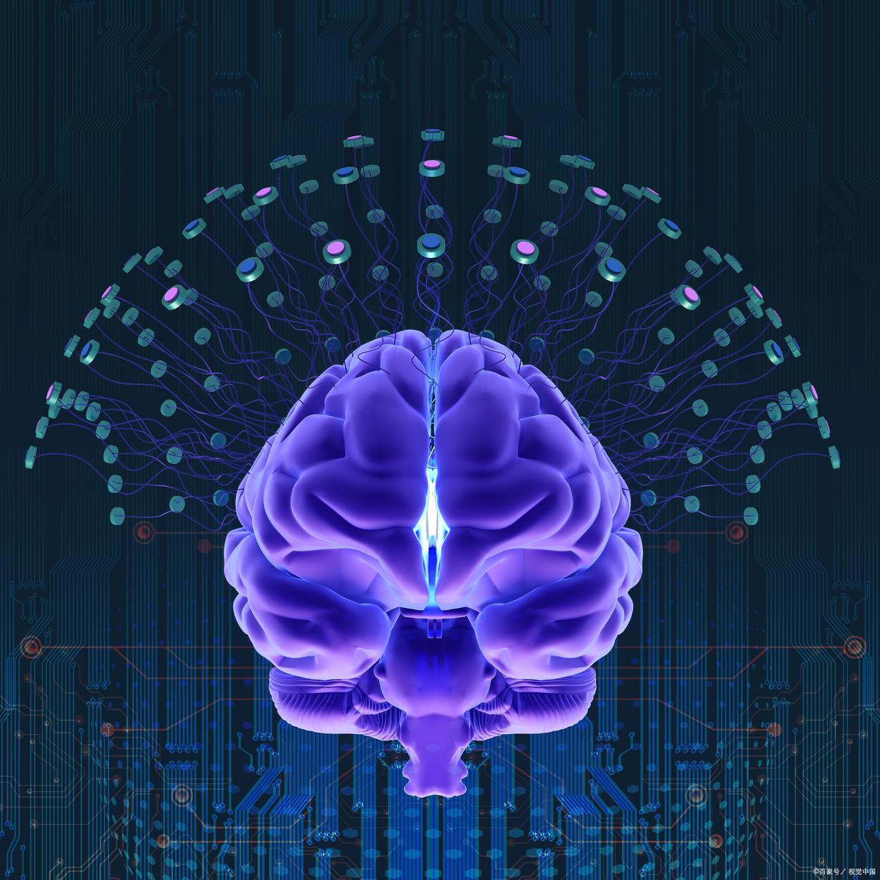 美国和欧盟人脑工程的思路大相径庭.