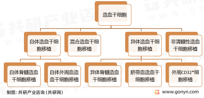 一文帶你詳細瞭解2022年造血幹細胞行業發展現狀及前景_財富號_東方