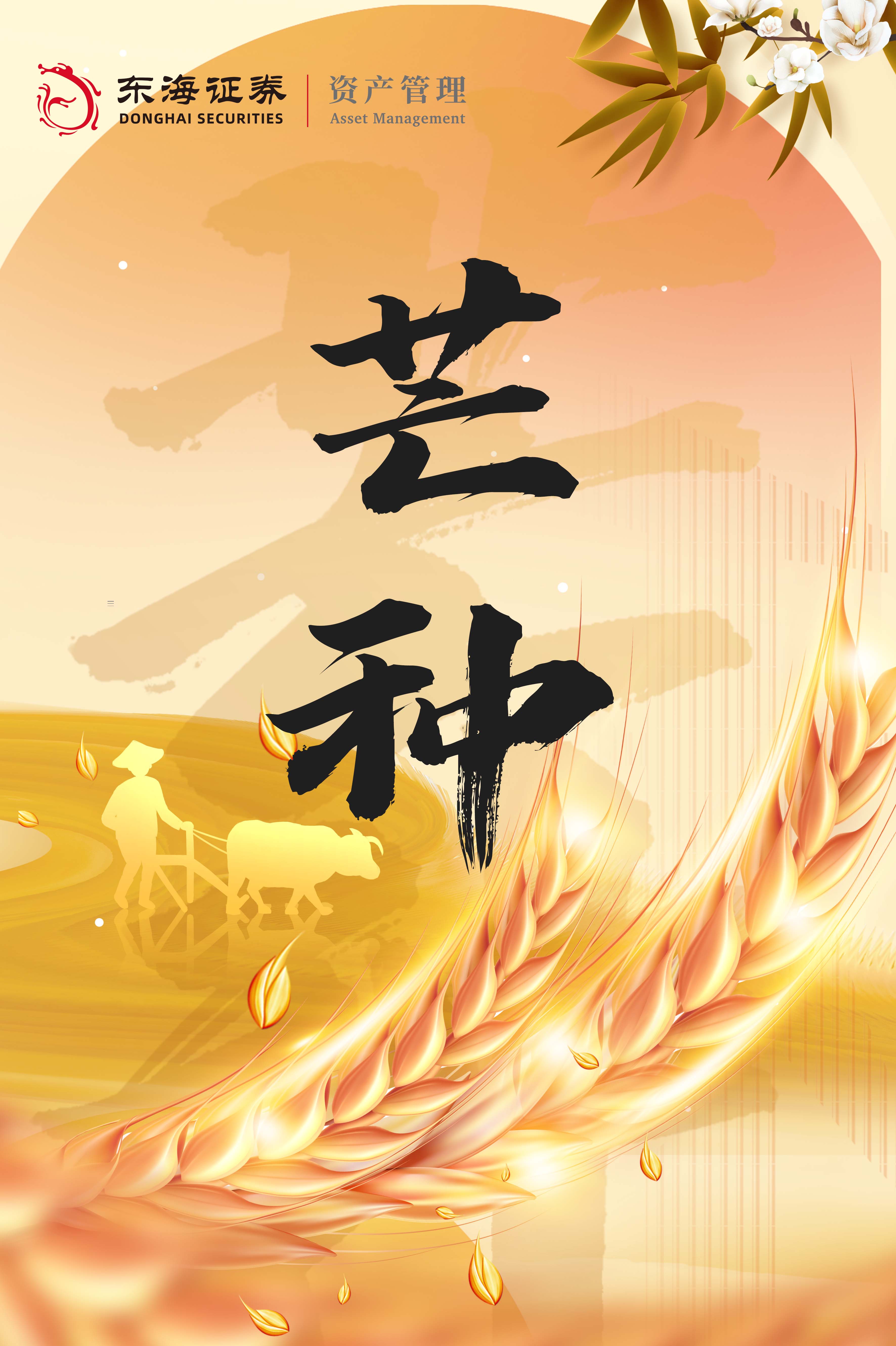 芒种今日播种静待硕果