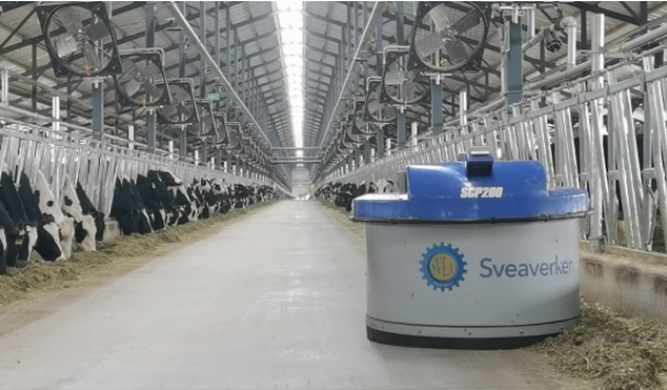 优然牧业全智能牛舍正式亮相引领行业无人化养牛