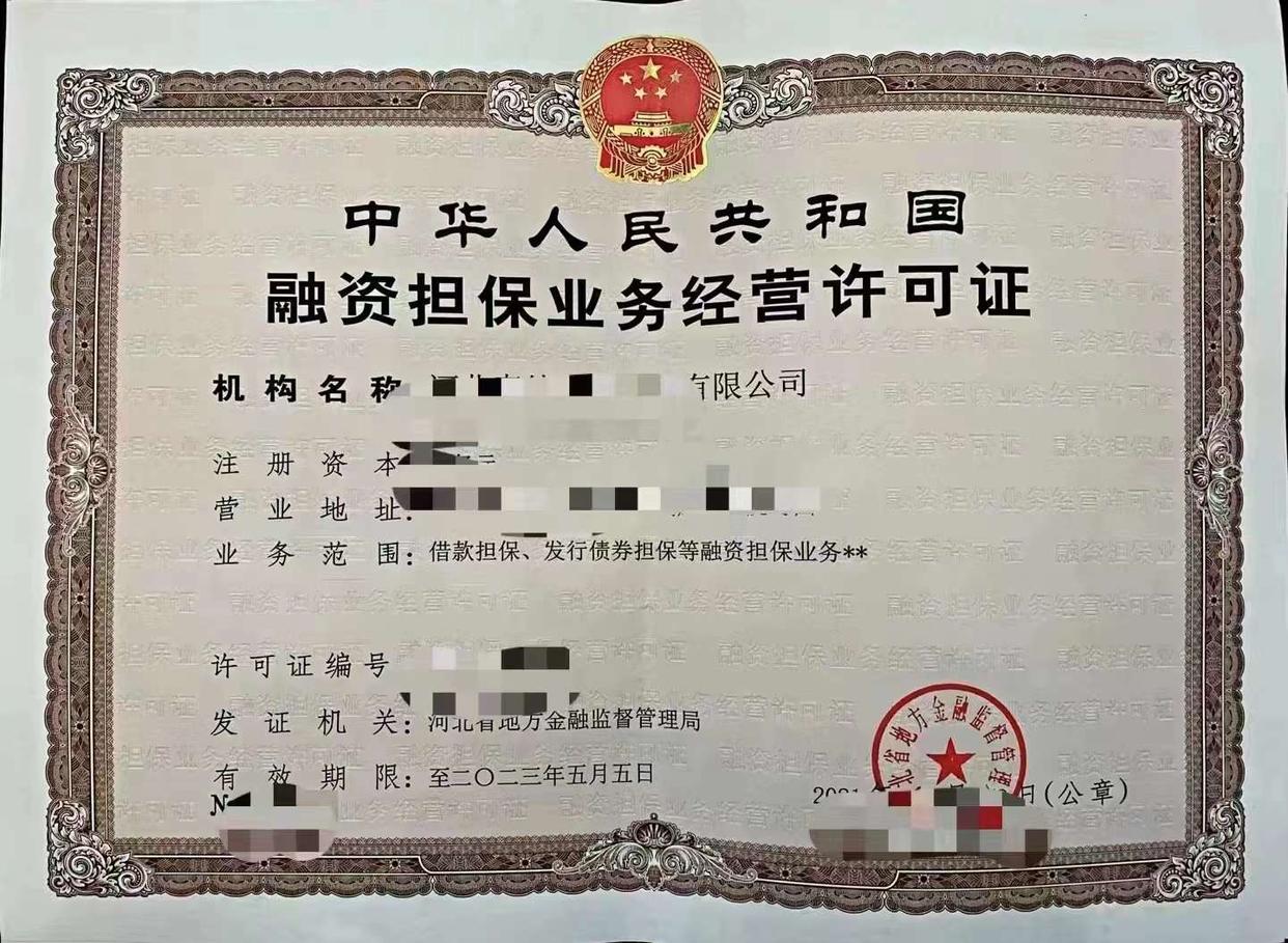 贷款担保公司的现状与展望
