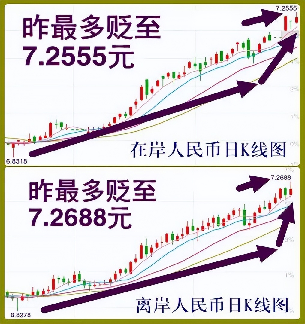 A4EB085F8867E5B05C34CD00299A492E_w1016h1078.jpg