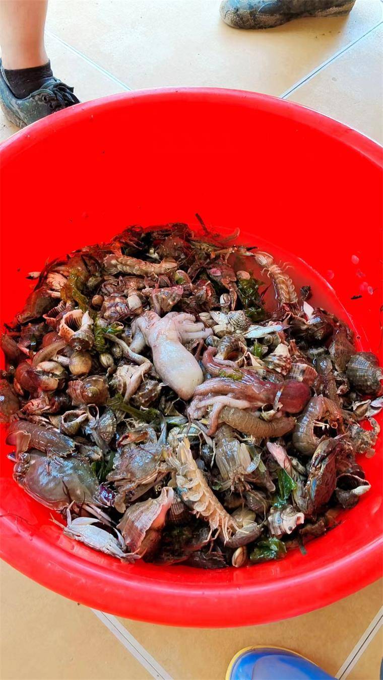 辽宁兴城觉华岛恋海人家家庭宾馆包吃住150海鲜大餐敞开吃