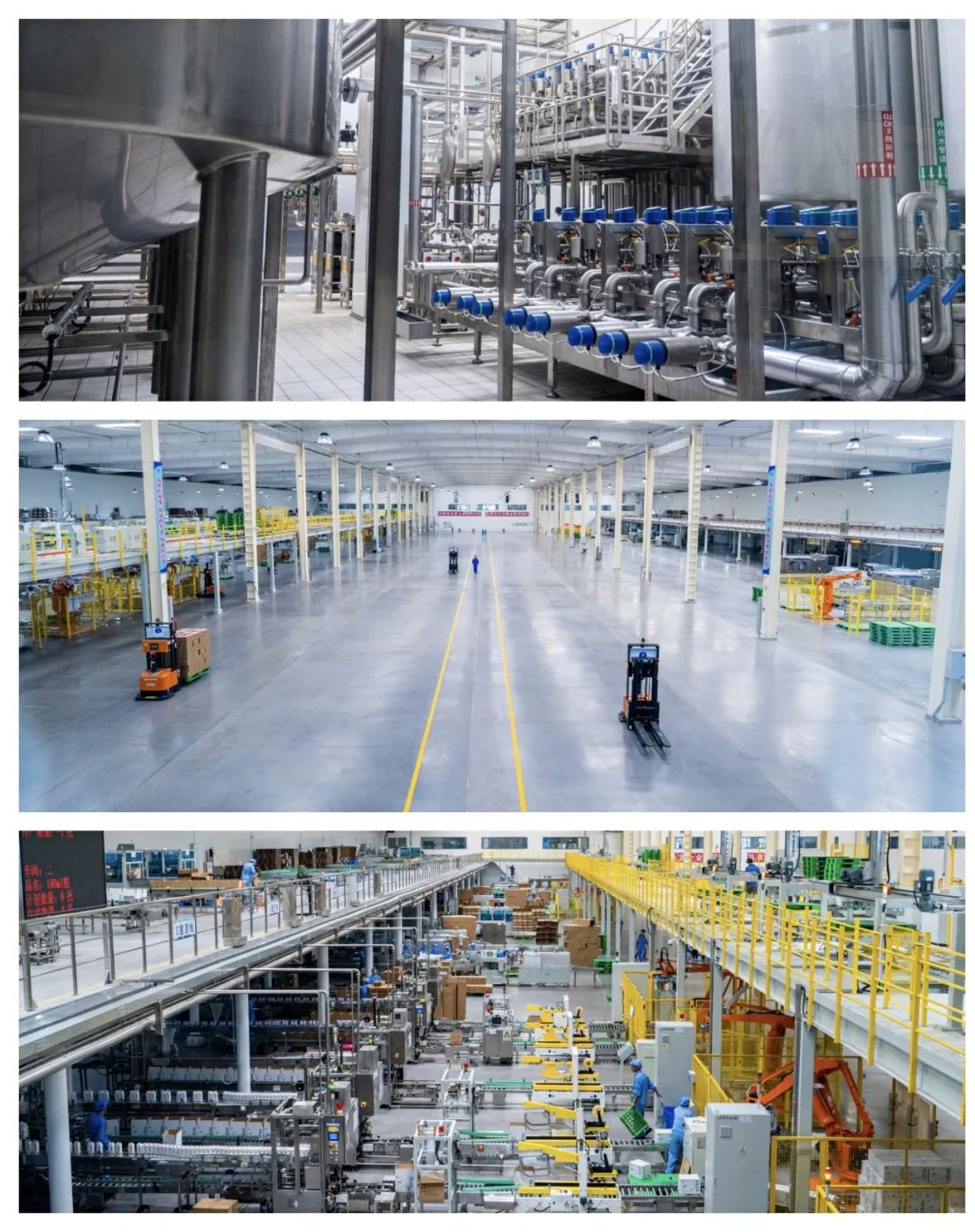 光明乳业:华中最大低温乳制品工厂升级,数字化赋能全国化战略落地