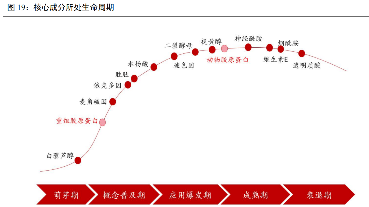 医用生物敷料栓怎么用锦波生物研究报告：独揽重组胶原蛋白III类械，医美应用助力成长_https://www.jmylbn.com_新闻资讯_第4张