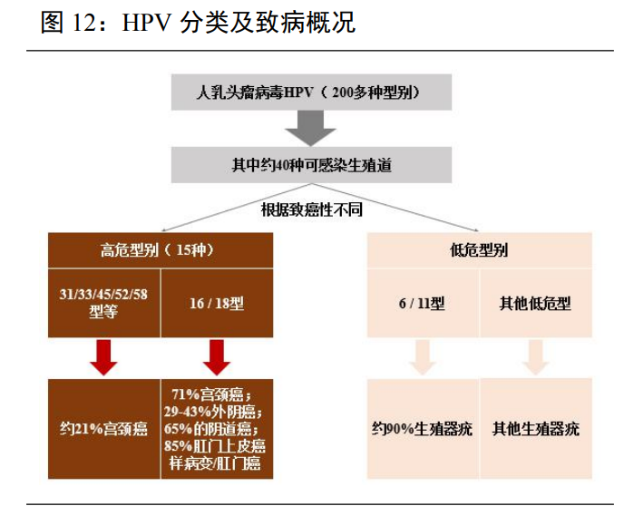 医用生物敷料栓怎么用锦波生物研究报告：独揽重组胶原蛋白III类械，医美应用助力成长_https://www.jmylbn.com_新闻资讯_第3张