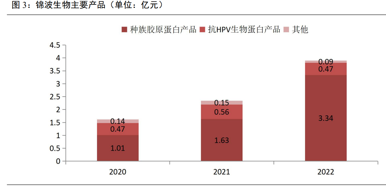 医用生物敷料栓怎么用锦波生物研究报告：独揽重组胶原蛋白III类械，医美应用助力成长_https://www.jmylbn.com_新闻资讯_第1张