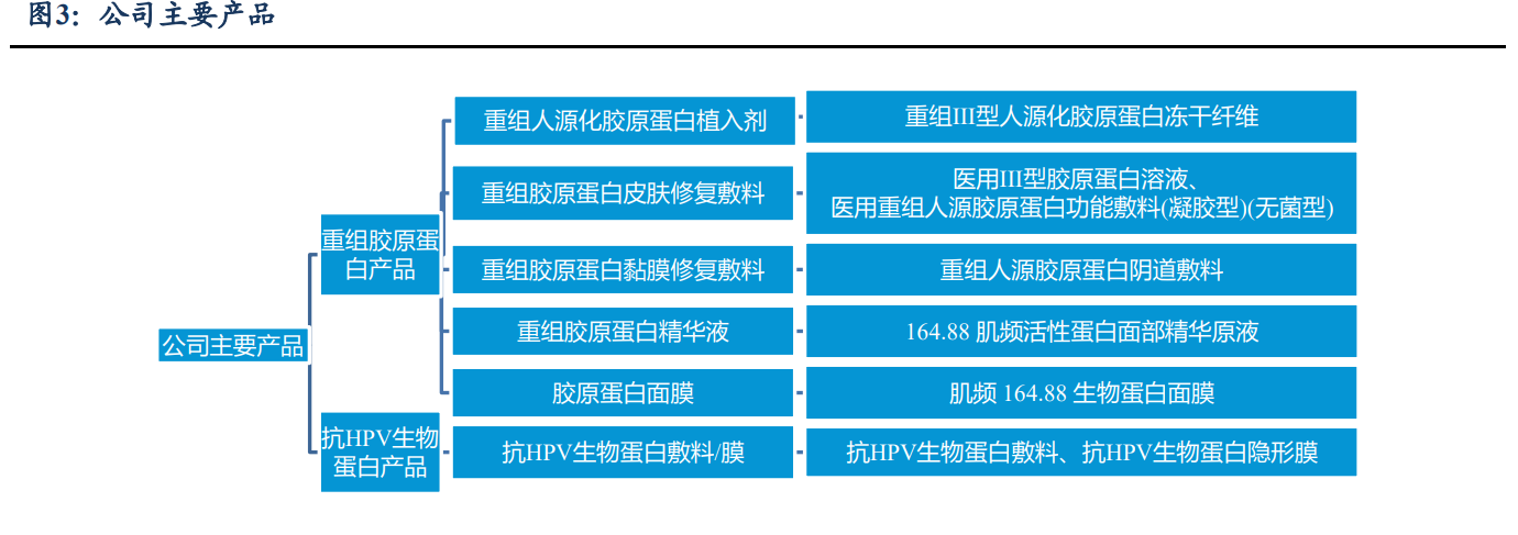 医用生物敷料栓怎么用锦波生物研究报告：功能蛋白一体化龙头，薇旖美快速放量驱动增长，敷料护肤前景可期_https://www.jmylbn.com_新闻资讯_第1张