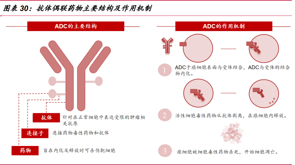 昊帆生物研究報告快速成長的多肽合成試劑龍頭