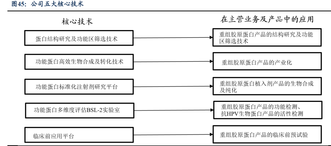 医用生物敷料栓怎么用锦波生物研究报告：功能蛋白一体化龙头，薇旖美快速放量驱动增长，敷料护肤前景可期_https://www.jmylbn.com_新闻资讯_第7张