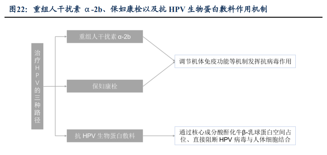 医用生物敷料栓怎么用锦波生物研究报告：功能蛋白一体化龙头，薇旖美快速放量驱动增长，敷料护肤前景可期_https://www.jmylbn.com_新闻资讯_第4张