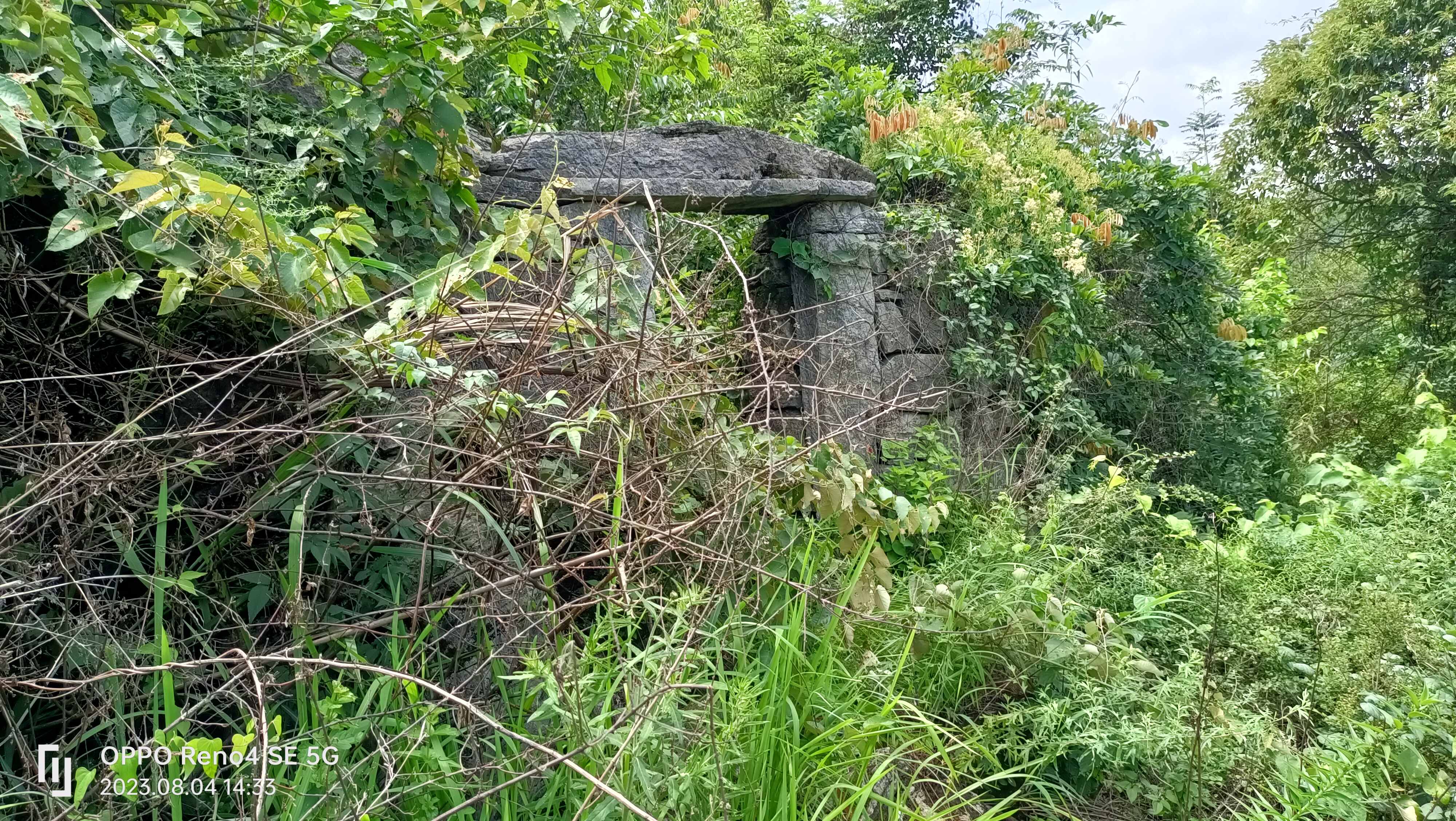 为迎成都武侯祠博物馆专家考察孟获洞,竹王村用割草机割路
