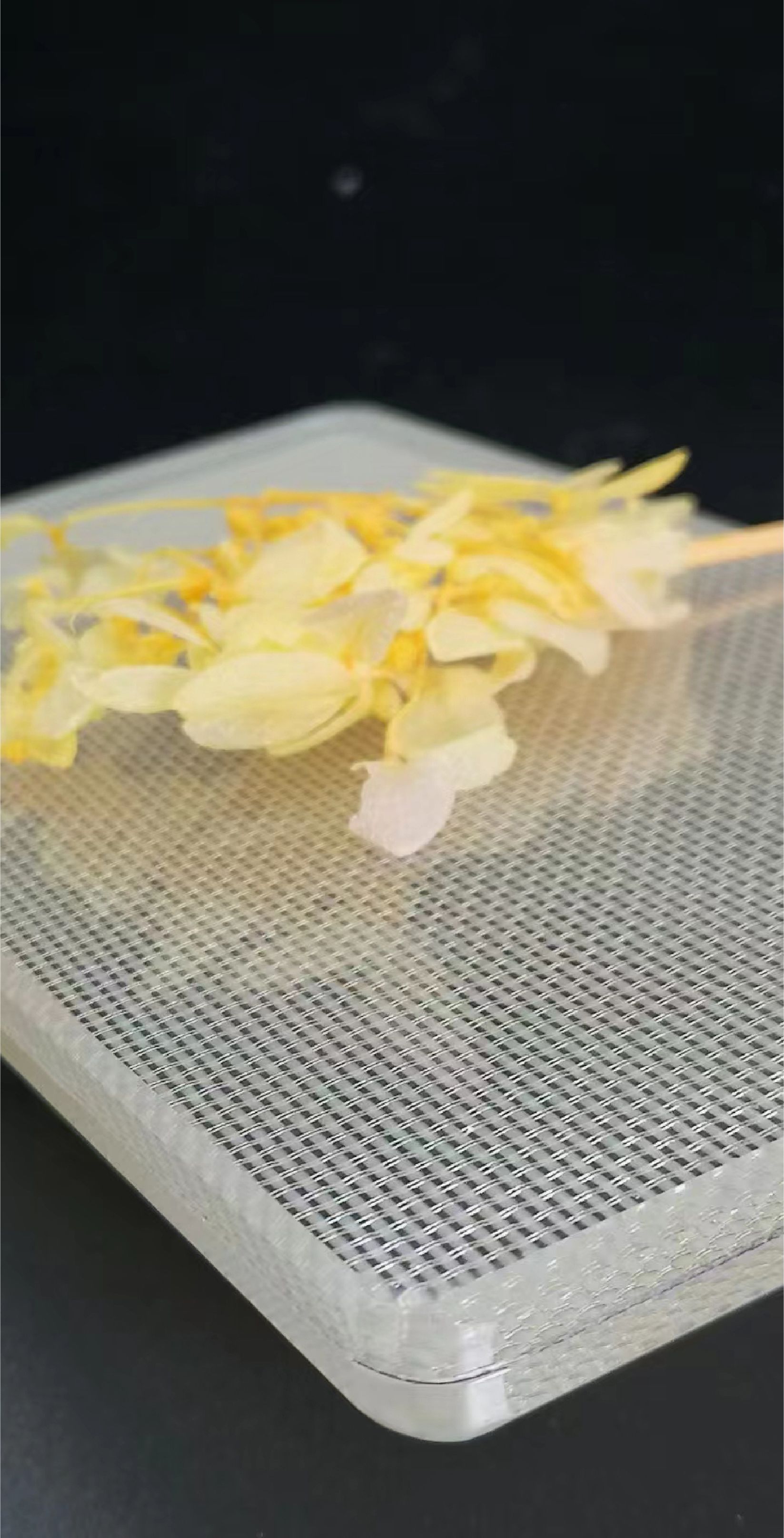 yomu优沐|夹丝玻璃工艺