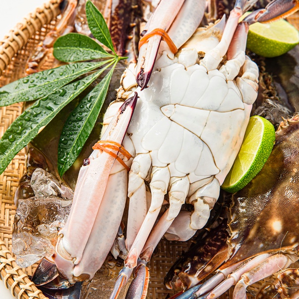 开海啦本来生活网东海鲜捕梭子蟹预售开启现捕现发