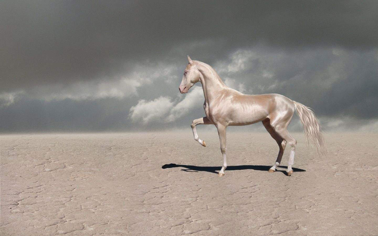 博客_东方财富网