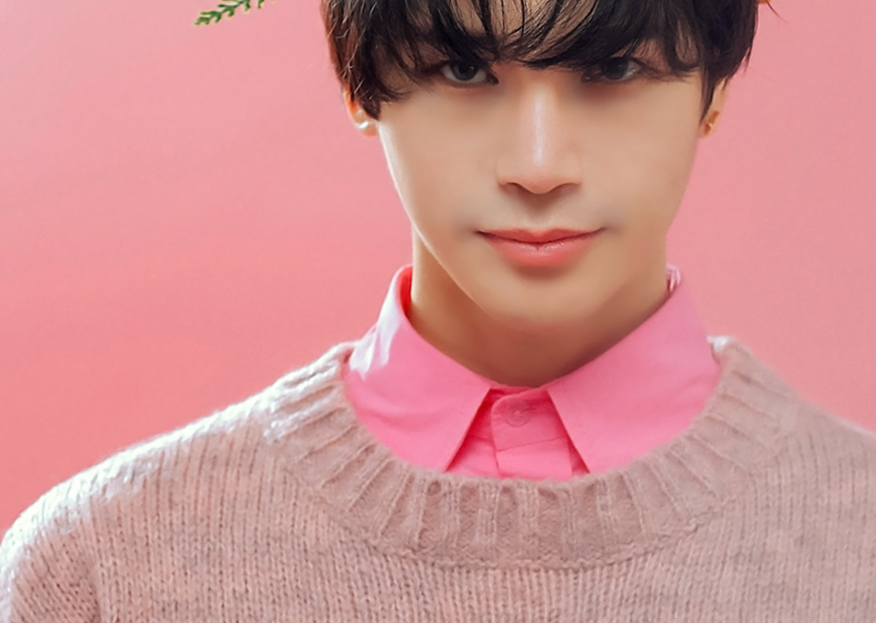 陈奕天粉色天使写真曝光