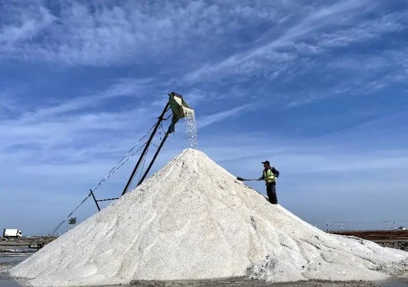 “抢盐”风波B面:多家食盐公司业绩下滑,海盐原料来自地下_财富号_东方财富网