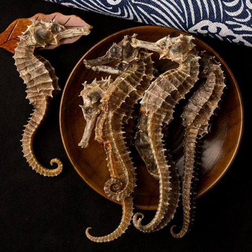 清关知识中药材海马进口清关所需资料及流程介绍