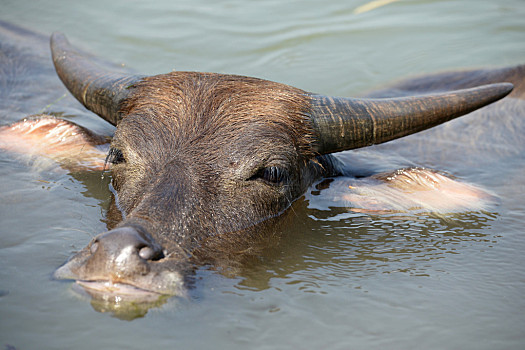 创业板历史大底医药板块重新崛起下周如何迎接质变信号