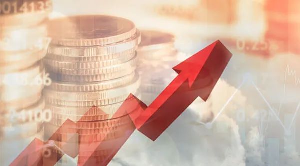 9月15日,北交所新股科强股份的发行结果出炉,一共有12.