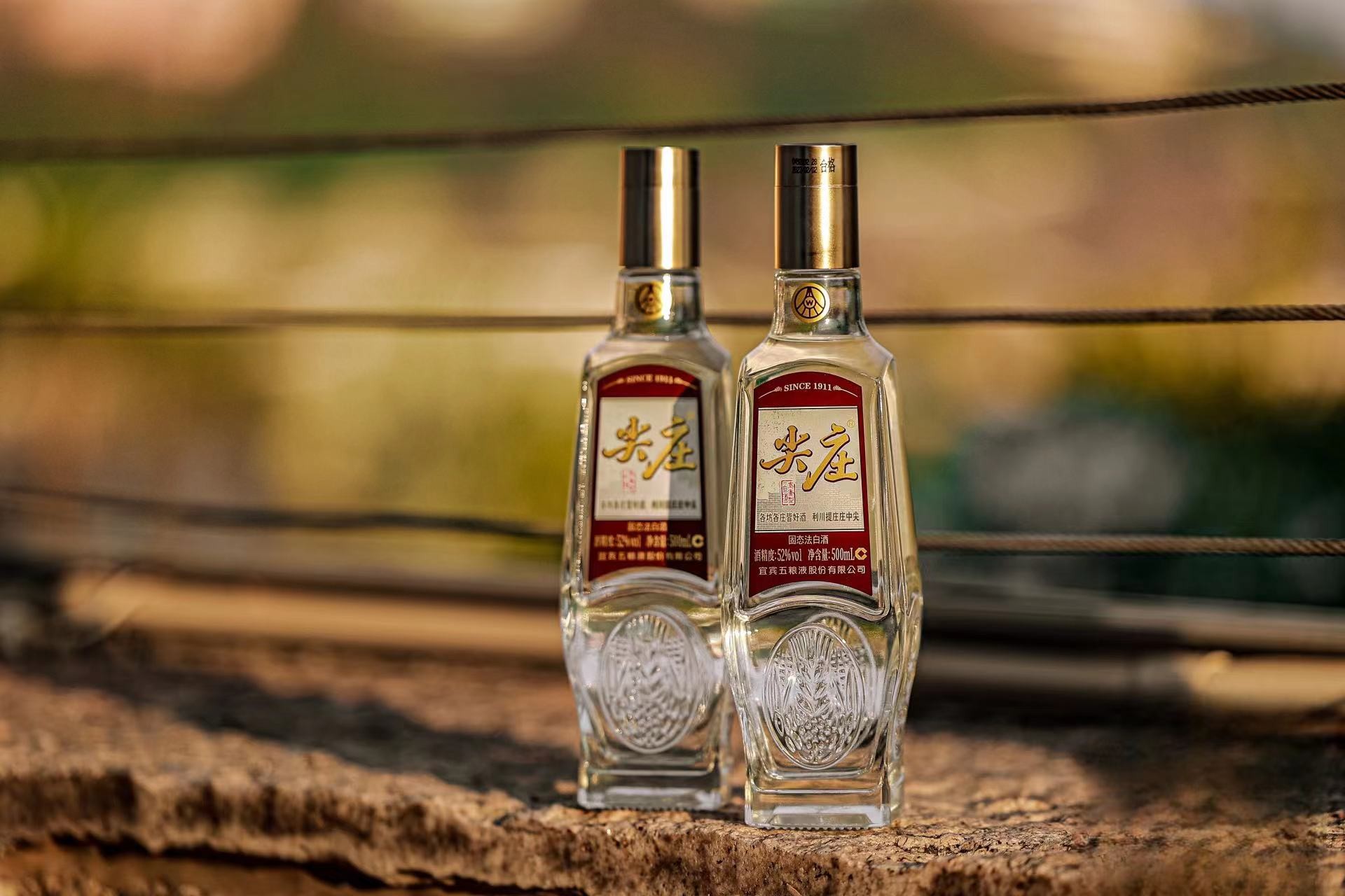 五粮春尖庄将登央视秋晚良辰美酒焕发节日新气象