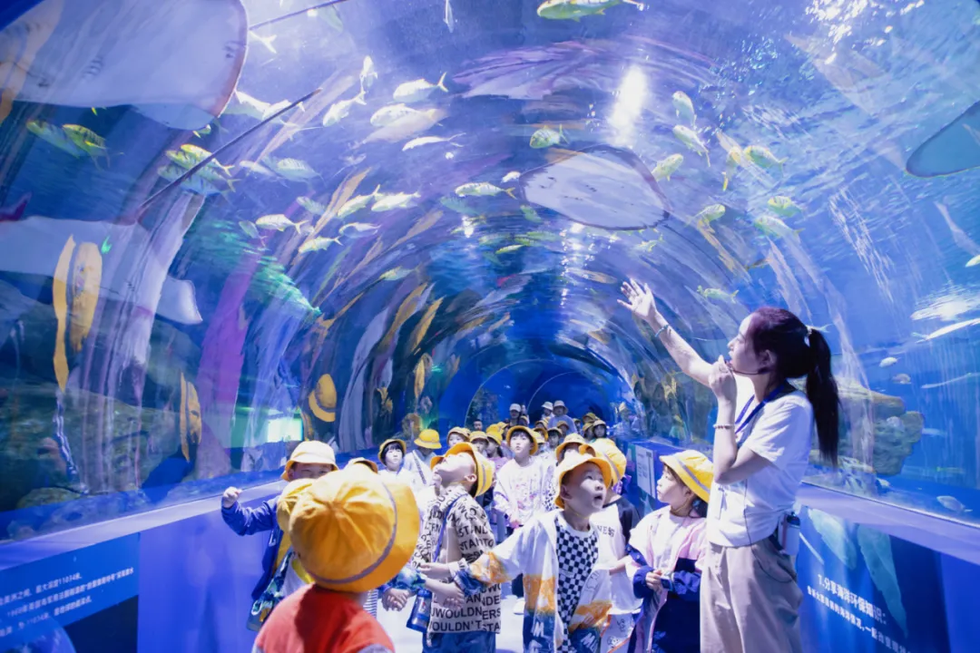 西宁新华联童梦乐园独有西宁海洋世界,石榴籽园,丝路小镇,丝路传奇5d