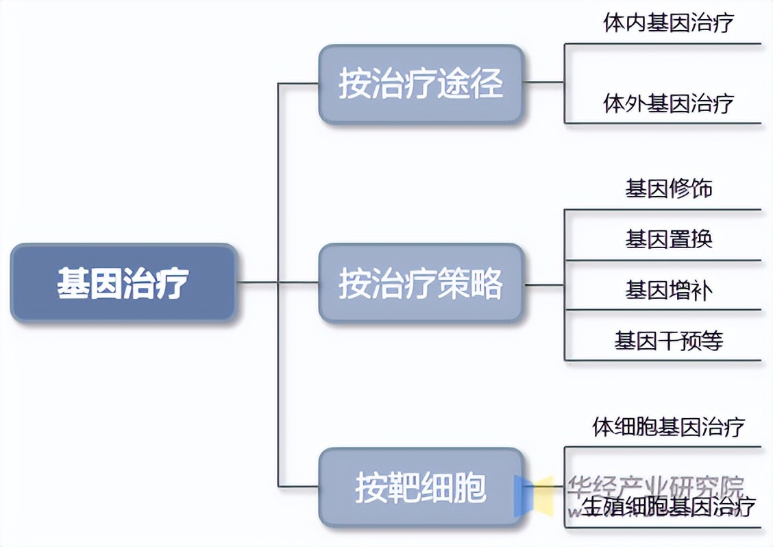 体内基因治疗图片