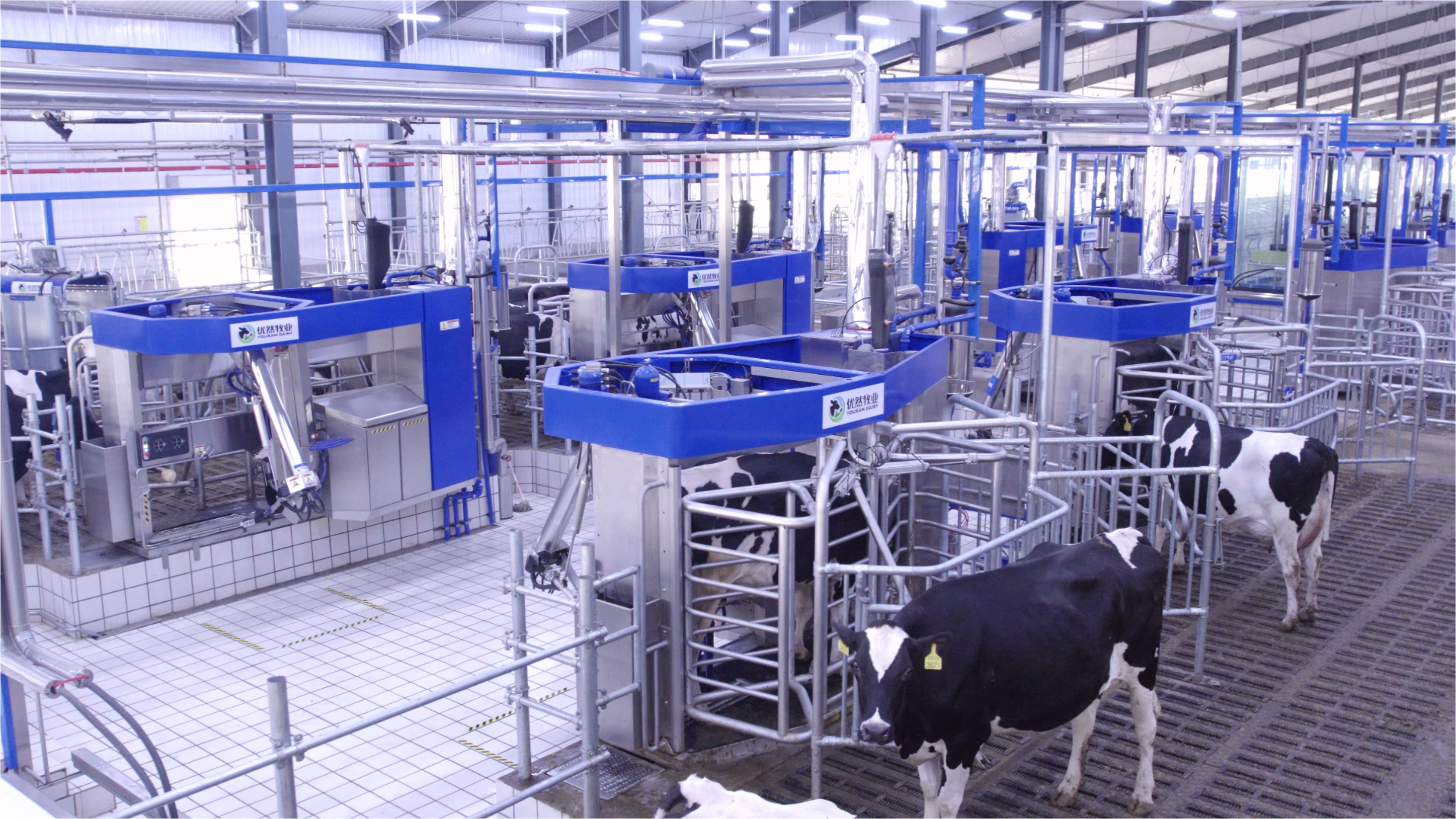 装备实现了"无人化"养牛,引领行业升级到精益化,精准化,智慧化的管理