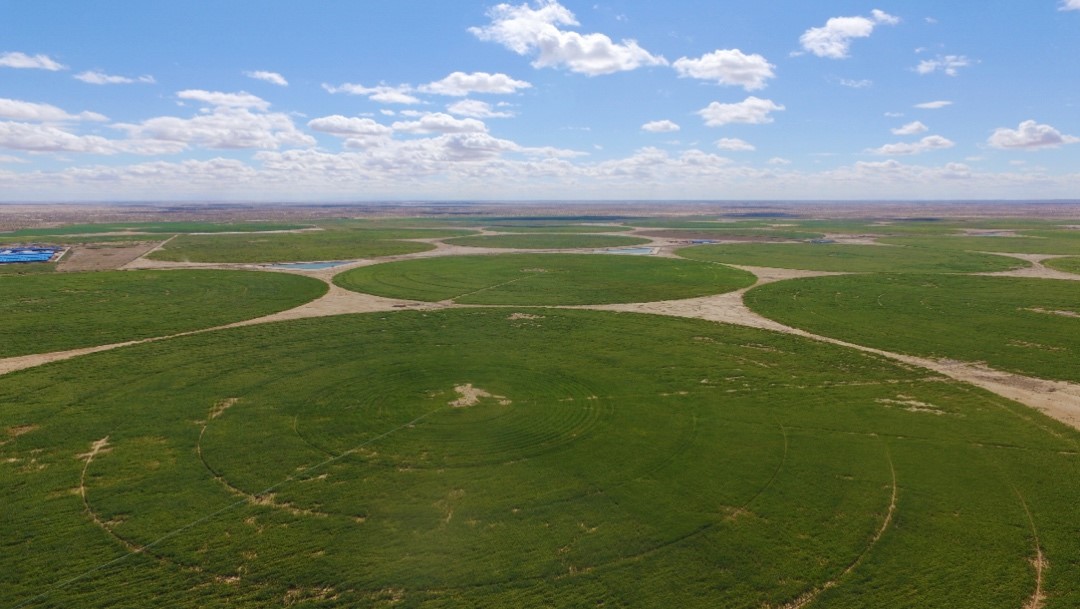 中国生态力量奖圣牧有机为沙漠披上绿装