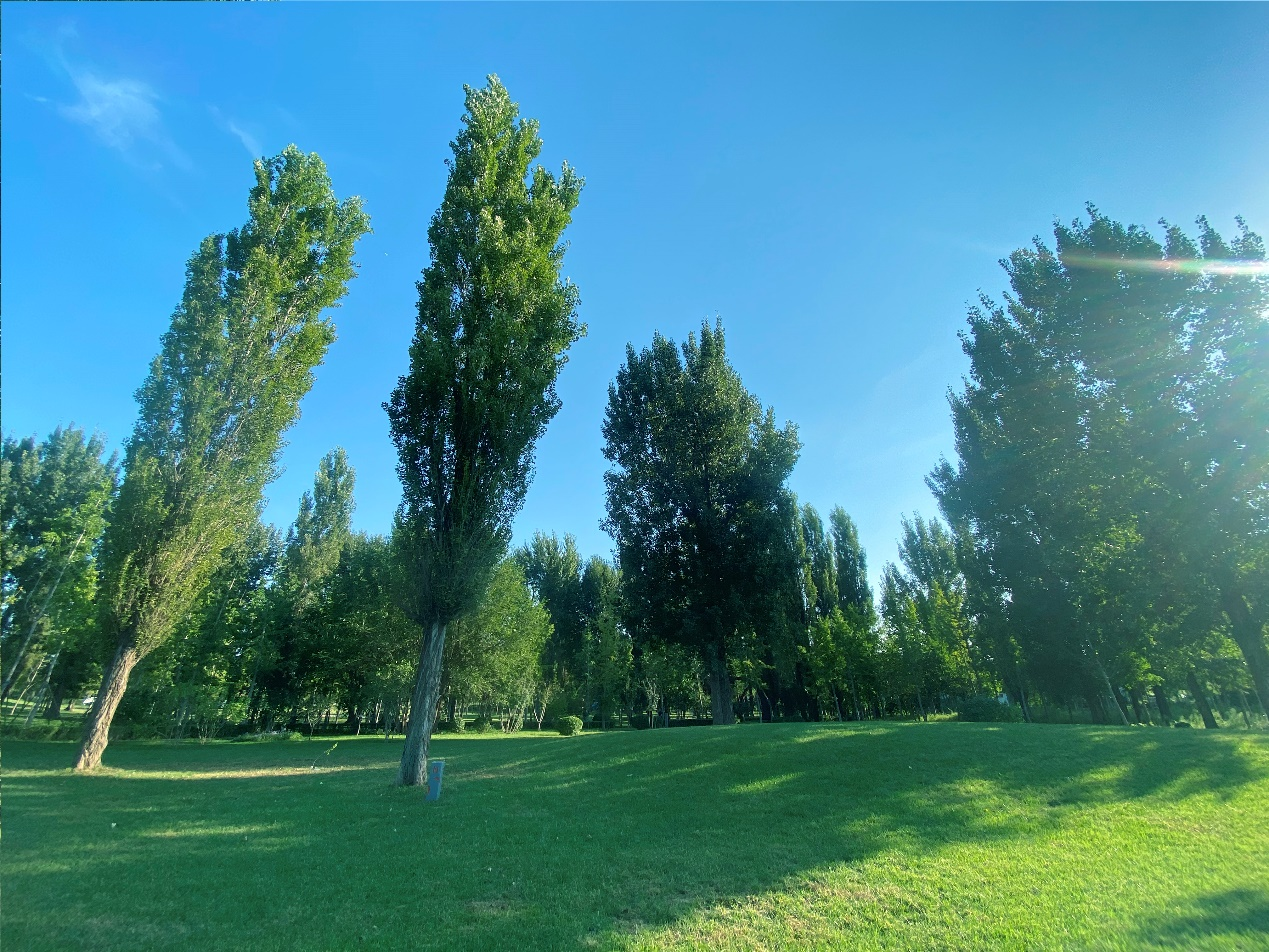 常务理事单位丨河北省林栖谷森林康养基地